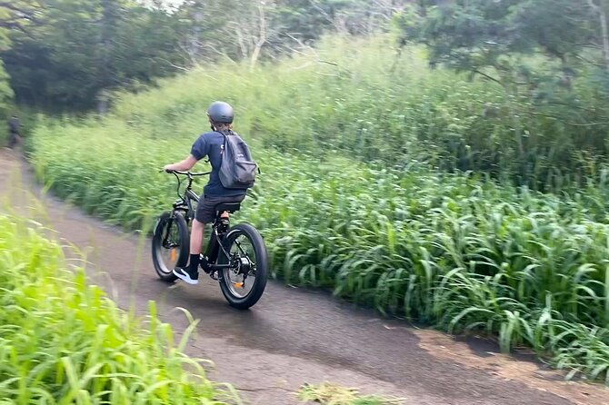 aloha-west-maui-2-hour-self-guided-electric-bike-tour