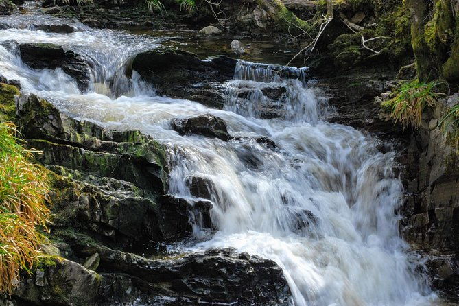 alternative-loch-ness-tour-by-secret-highlands-2