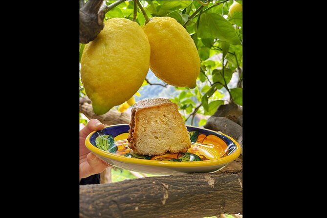 amalfi-lemon-tour-tasting-in-historical-garden-2