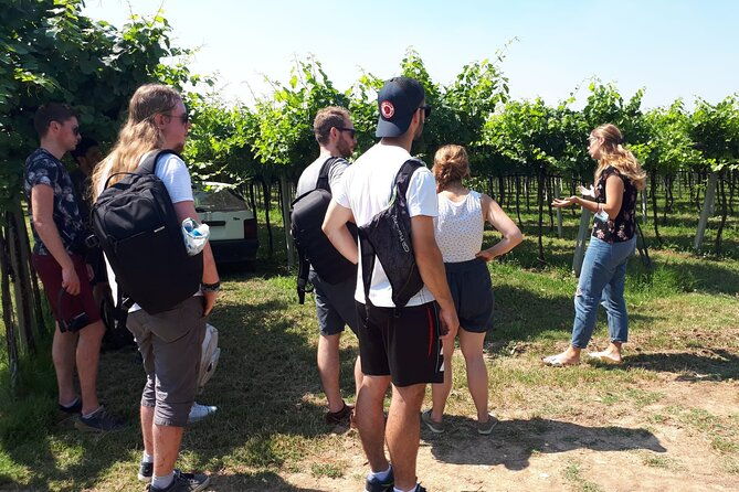 amarone-wine-tour-2