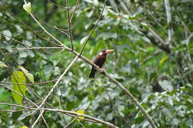 amazing-jungle-3days-2nights-amazon-wonder-expeditions