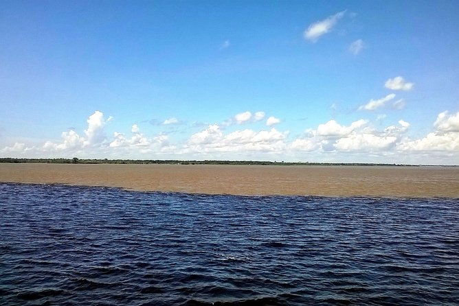 amazon-and-negro-rivers-experience-with-night-exploration-tour