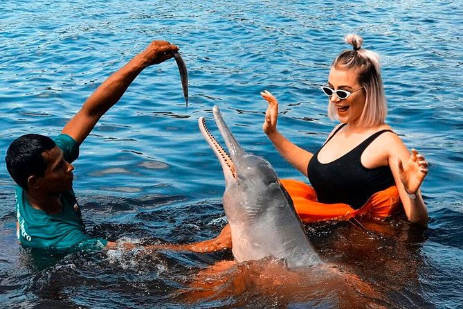 amazon-experience-meet-a-native-village-and-swim-with-porpoises