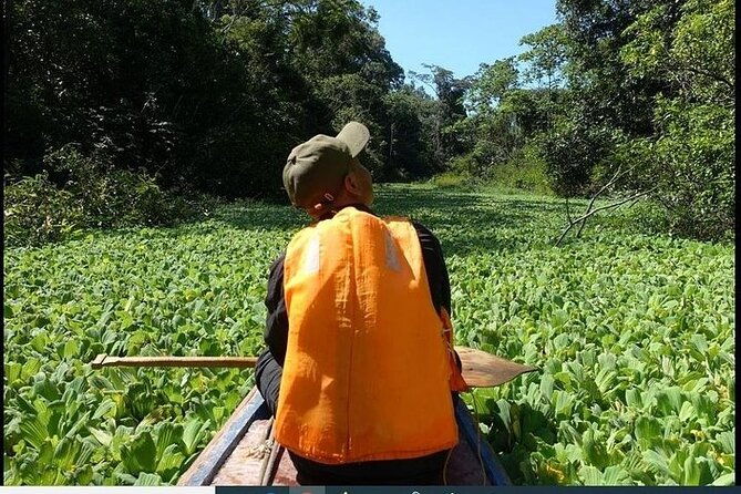 amazon-rainforest-adventure-3-days-2-nights-300-usd
