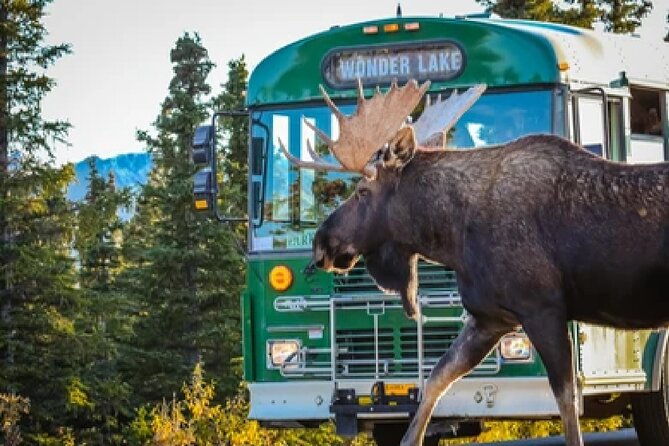 anchorage-kenai-fjords-denali-national-park-5-day-4-night-tour