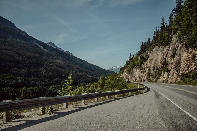 anchorage-to-seward-pre-cruise-curated-wildlife-tour-transfer