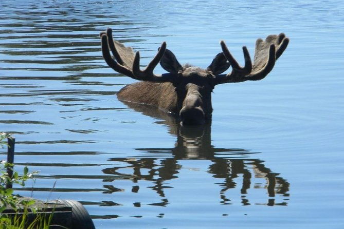 anchorage-to-whittier-cruise-transfer-and-private-tour