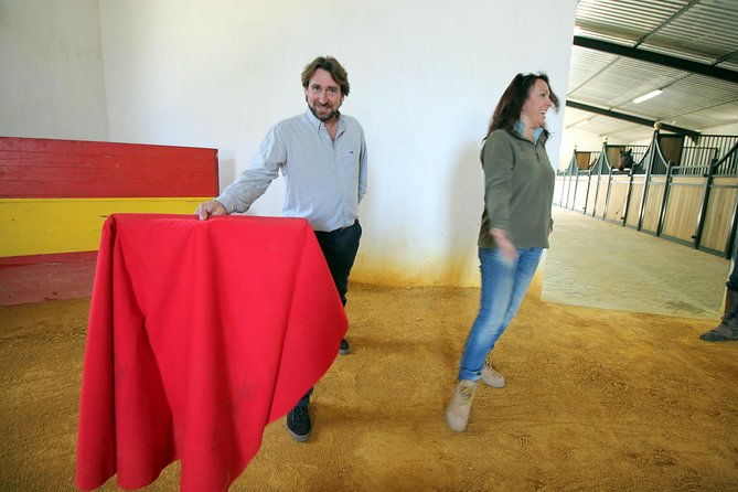 andalucia-bull-and-horse-farm-and-ronda-private-tour-from-malaga-2