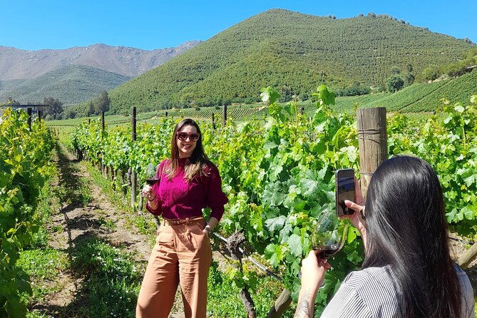 andes-portillo-aconcagua-premium-vineyard-tasting-semi-private