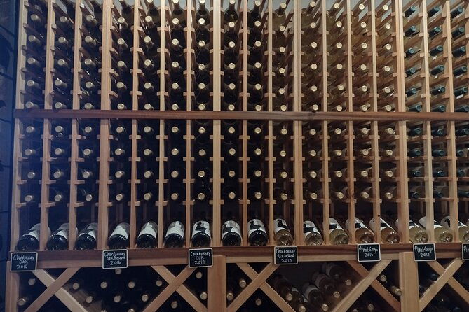 andies-non-bus-4-winery-traverse-leelanau-peninsula-wine-tour