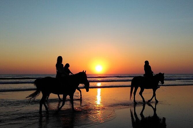 antalya-horse-riding-on-beach-and-through-the-forests-for-2-hours