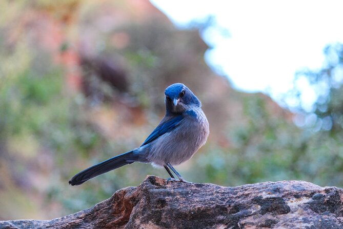 apache-trail-private-half-day-tour