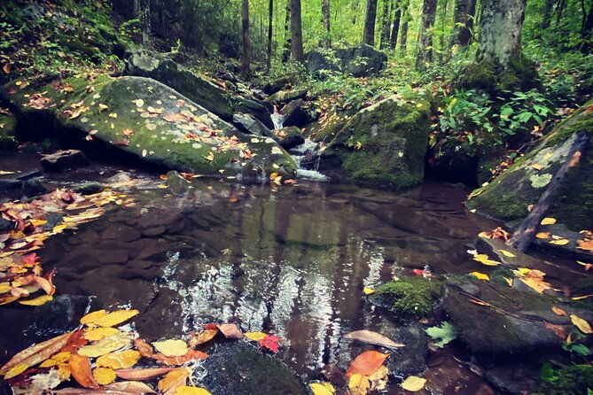 appalachian-waterfalls-hike