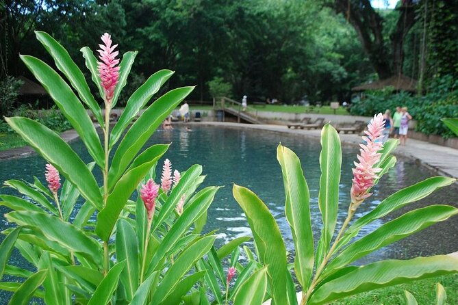 appleton-estate-black-river-safari-and-ys-falls