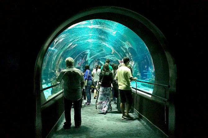 aquarium-tour-rio-de-janeiro