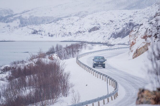 arctic-roadtrip-fjords-with-scenic-picnic-private-2