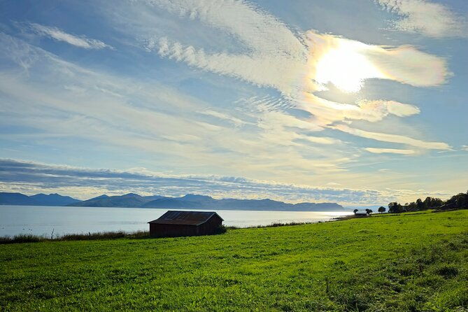 arctic-wildlife-and-fjord-sightseeing-2