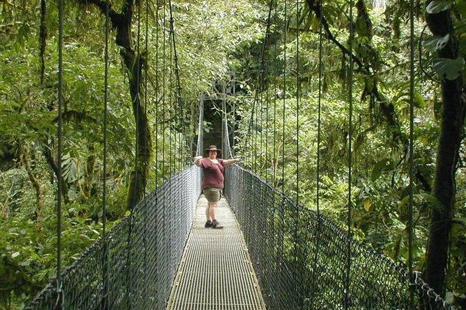 arenal-hanging-bridges-in-mistico-park