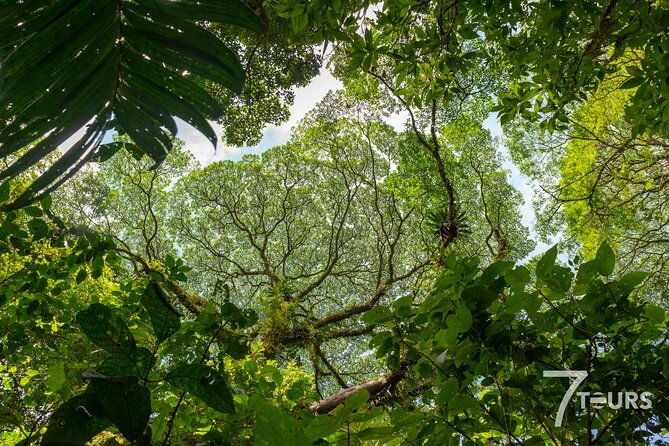 arenal-highlights-arenal-1-day-baldi-hot-springs-dinner