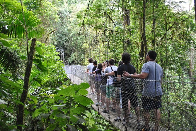 arenal-highlights-hanging-bridges-la-fortuna-waterfall-volcano