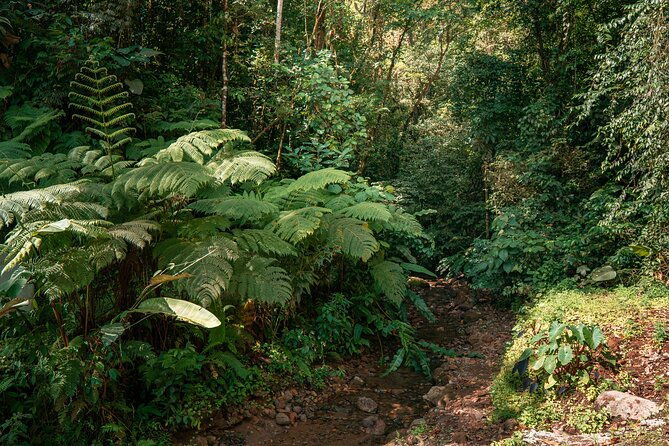 arenal-natural-hiking-trails
