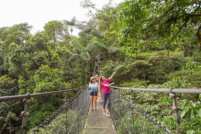 arenal-volcano-hanging-bridges-and-sloth-encounter-tour