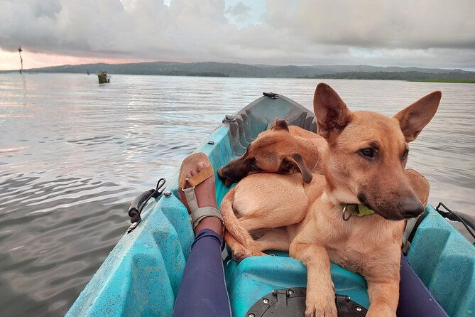arenal-volcano-hike-lake-arenal-kayaking