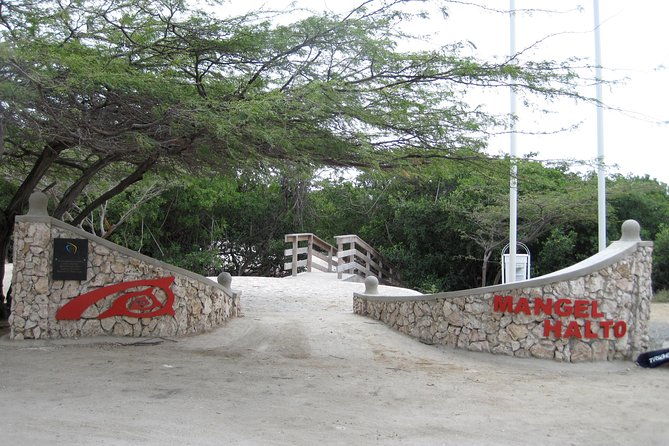 aruba-mangel-halto-and-baby-beach-snorkeling-guided-tour