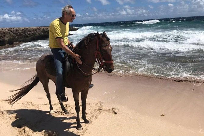 aruba-private-2-hour-horseback-riding-tour-for-advanced-riders