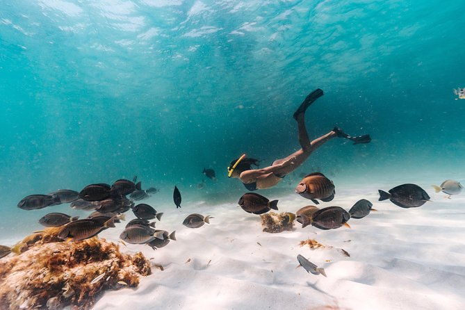 aruba-sail-and-snorkel-with-crafted-cocktails