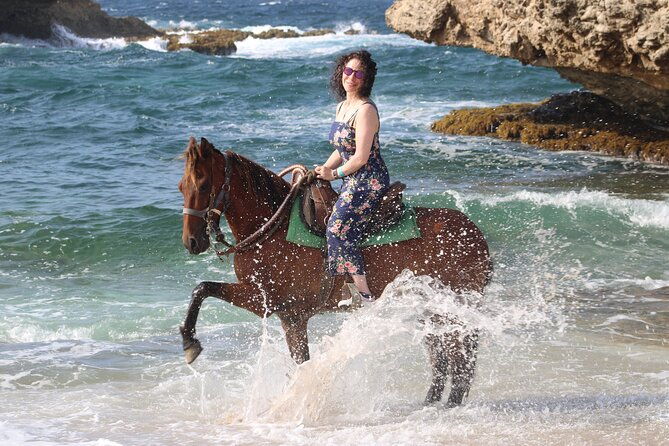 arubas-northern-coast-horseback-adventure