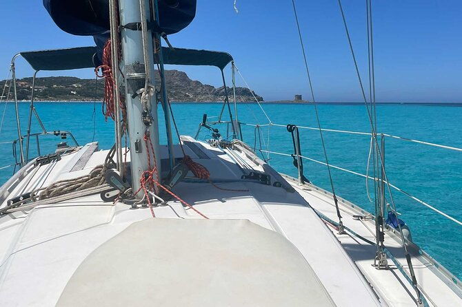 asinara-full-day-sailboat-tour-from-stintino