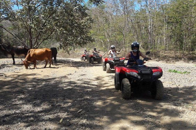 atv-half-day-adventure-from-riu-and-papagayo