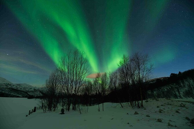 aurora-hunt-with-professional-photographer-from-alta