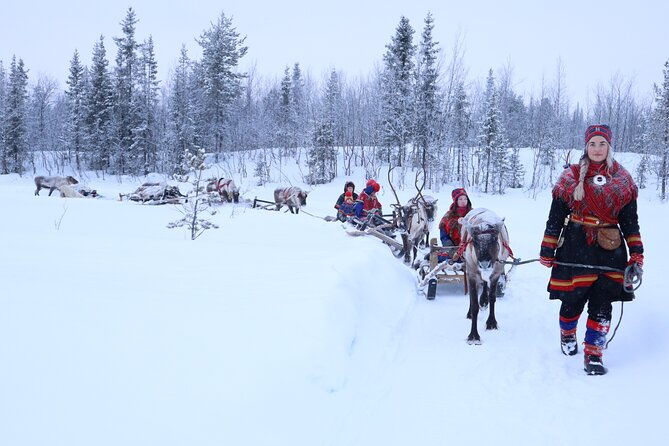 aurora-hunting-with-reindeer-caravan