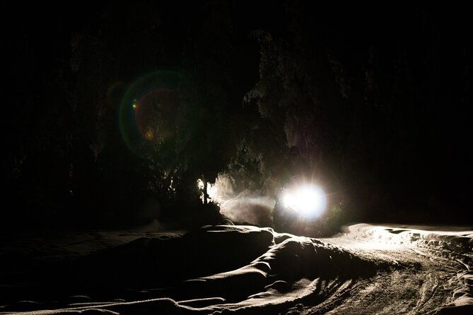 aurora-sleighers-snowmobile-tour-in-fairbanks