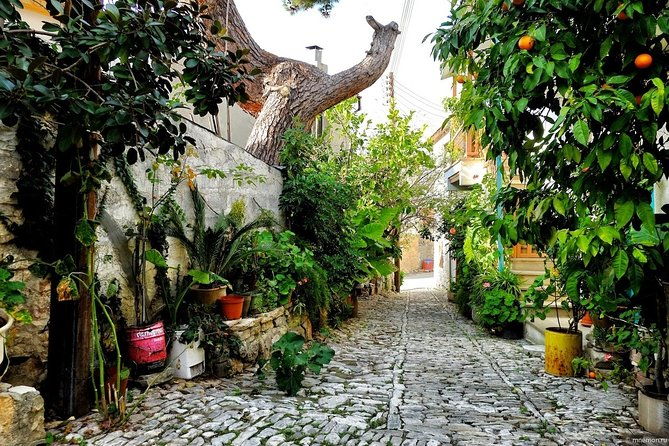 authentic-gourmet-tour-with-wine-and-food-tasting-from-paphos