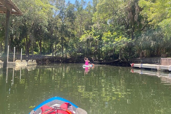 backland-alligator-electric-paddle-tour