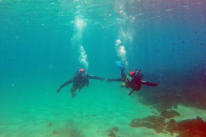 baptism-of-diving-in-the-natural-park-of-the-strait