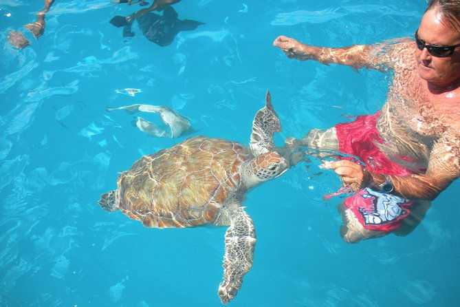 barbados-catamaran-turtle-snorkel-with-open-bar