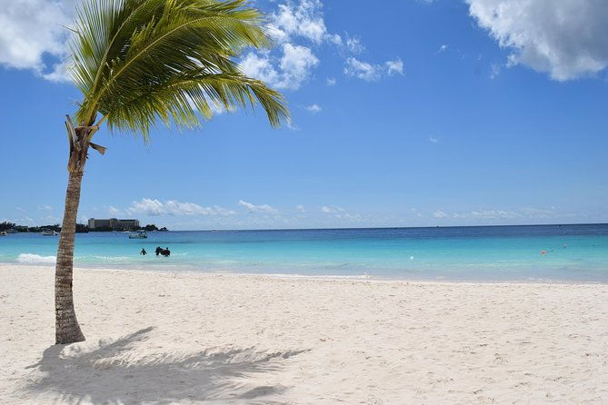 barbados-harrisons-cave-tram-tour-and-boat-cruise-snorkel-adventure