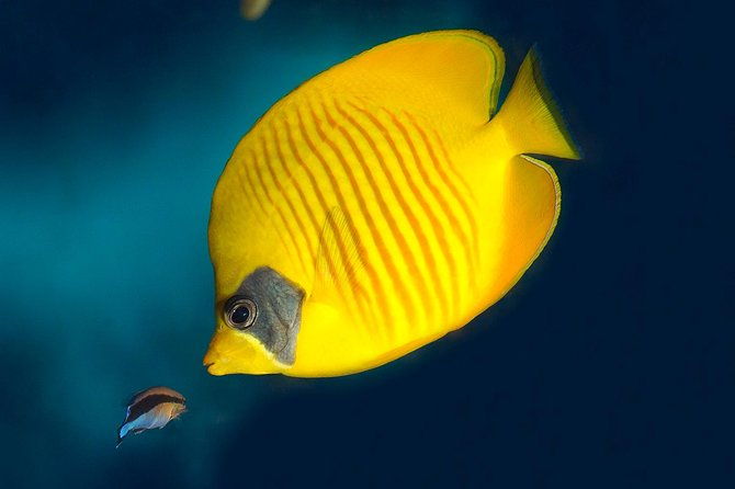 barcelona-aquarium-skip-the-line-ticket