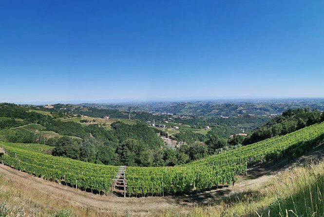 barolobarbaresco-wine-tour-with-a-local-winemaker