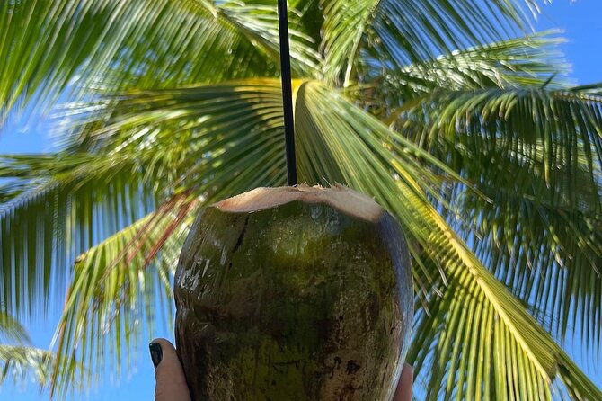 bat-snakes-cave-hidden-fresh-spring-beach-food-fullday-tour