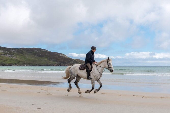 beach-countryside-horse-riding-outside-westport-guided-1-hour