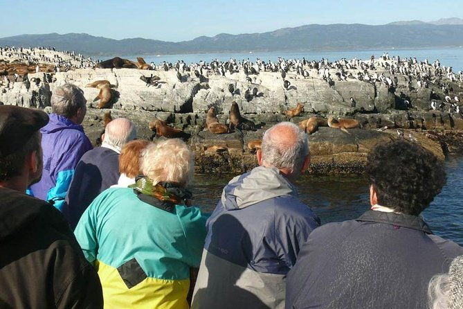 beagle-channel-navigation-penguin-colony