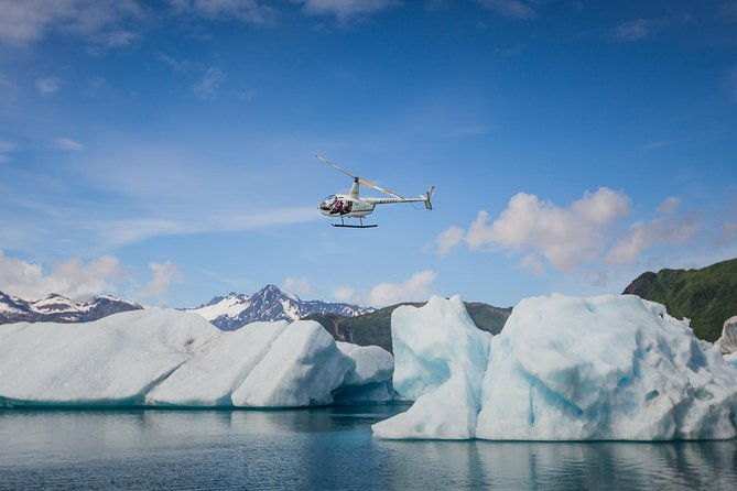 bear-glacier-scenic-express-flight