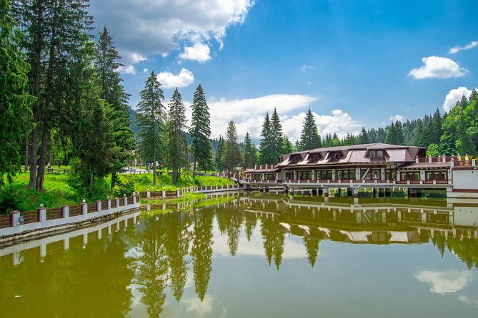 bears-sanctuary-dracula-castle-and-poiana-brasov-private-day-tour-from-brasov