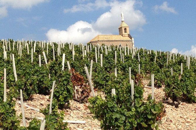 beaujolais-wines-castles-private-tour-half-day