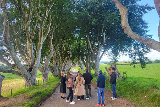 belfast-giants-causeway-luxury-mercedes-private-tour-for-6-pax
